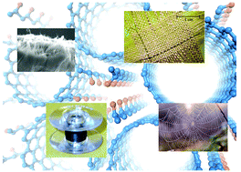 Graphical abstract: Continuous carbon nanotube composite fibers: properties, potential applications, and problems