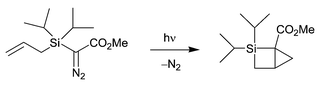 Graphical abstract: Synthesis and ring opening reactions of a 2-silabicyclo[2.1.0]pentane