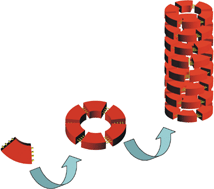 Graphical abstract: Hierarchical self-assembly of columnar aggregates