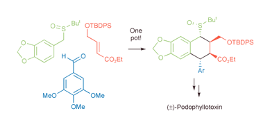 Graphical abstract: A concise stereocontrolled formal total synthesis of (±)-podophyllotoxin using sulfoxide chemistry