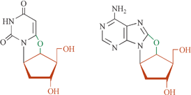 Graphical abstract: Synthesis and hybridization properties of l-oligodeoxynucleotide analogues fixed in a low anti glycosyl conformation