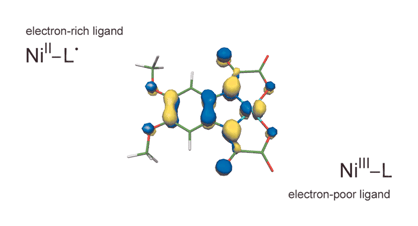 Graphical abstract: From metal to ligand electroactivity in nickel(ii) oxamato complexes
