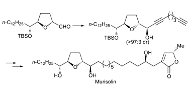 Graphical abstract: First total synthesis of murisolin