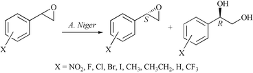 Graphical abstract: Enantioselective hydrolysis of various substituted styrene oxides with Aspergillus Niger CGMCC 0496