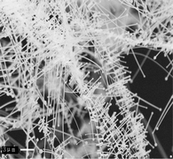 Graphical abstract: Co-catalysed VLS growth of novel ceramic nanostructures