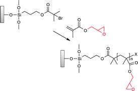 Graphical abstract: Controlled growth and subsequent chemical modification of poly(glycidyl methacrylate) brushes on silicon wafers