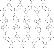 Graphical abstract: Robust hydrogen-bonded self-assemblies from biimidazole complexes. Synthesis and structural characterization of [M(biimidazole)2(OH2)2]2+ (M = Co2+, Ni2+) complexes and carboxylate modules