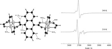 Graphical abstract: 9,10-Anthracene dicarboxylate bridged complexes with M2 quadruply bonded dimetal units: [{M2(O2CtBu)3}2(μ-9,10-An(CO2)2)], where M = Mo or W