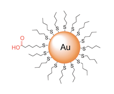 Graphical abstract: Controlled functionalization of gold nanoparticles through a solid phase synthesis approach