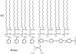 Graphical abstract: Interfacial polymerisation of anilinium at Langmuir monolayers