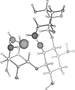 Graphical abstract: NMR and EPR structural delineation of copper(ii) complexes formed by kanamycin A in water