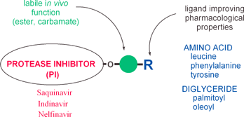 Graphical abstract: Prodrugs of HIV protease inhibitors—saquinavir, indinavir and nelfinavir—derived from diglycerides or amino acids: synthesis, stability and anti-HIV activity