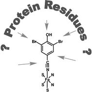 Graphical abstract: Substrate selectivity and conformational space available to bromoxynil and acrylonitrile in iron nitrile hydratase