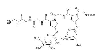 Graphical abstract: The parallel synthesis of a disaccharide library using a solid phase, peptide-templated strategy