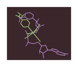 Graphical abstract: An inorganic iron complex that inhibits wild-type and an isoniazid-resistant mutant 2-trans-enoyl-ACP (CoA) reductase from Mycobacterium tuberculosis