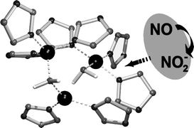 Graphical abstract: A spectroscopic investigation of the interaction between nitrogen monoxide and copper sites of the fungal laccase from Rigidoporus lignosus