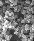 Graphical abstract: A chemical route from PTFE to amorphous carbon nanospheres in supercritical water