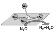 Graphical abstract: Characterisation of [Cu4S], the catalytic site in nitrous oxide reductase, by EPR spectroscopy