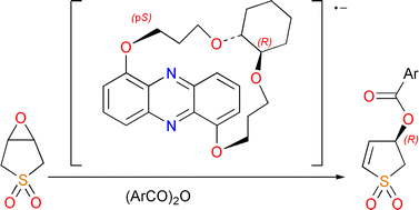 Graphical abstract: Generation of strong, homochiral bases by electrochemical reduction of phenazine derivatives