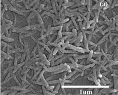 Graphical abstract: Growth of CaCO3 in the templated Langmuir–Blodgett film of a bolaamphiphilic diacid