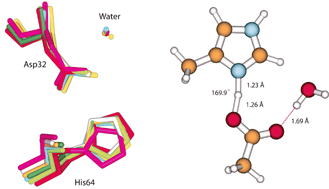 Graphical abstract: The influence of solvation on short strong hydrogen bonds: a density functional theory study of the Asp-His interaction in subtilisins