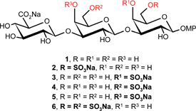 Graphical abstract: Synthesis of various sulfoforms of the trisaccharide β-d-GlcpA-(1→3)-β-d-Galp-(1→3)-β-d-Galp-(1→OMP) as probes for the study of the biosynthesis and sorting of proteoglycans