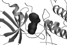 Graphical abstract: High-throughput protein crystallography and drug discovery