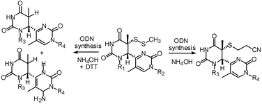 Graphical abstract: Studies on the chemical synthesis of oligodeoxynucleotides containing the s5T(6-4)T photoproduct: side reactions derived from the methylsulfenyl thiol protection elucidated by MALDI mass spectrometry