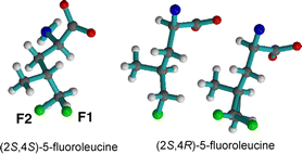 Graphical abstract: Synthesis of (2S,4S)- and (2S,4R)-5-fluoroleucine and (2S,4S)-[5,5-2H2]-5-fluoroleucine