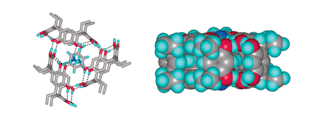 Graphical abstract: Symmetry induced supramolecular assembly of a resorcinarene trimeric molecular box