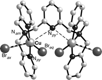 Graphical abstract: Novel one-dimensional structures and solution behaviour of copper(ii) bromide and chloride complexes of a new pentapyridyldiamine ligand