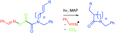 Graphical abstract: Preparation of β- and γ-lactams from carbamoyl radicals derived from oxime oxalate amides