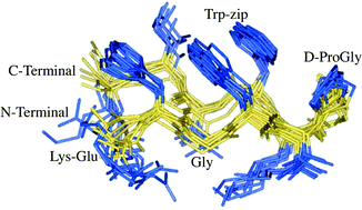 Graphical abstract: Expected and unexpected results from combined β-hairpin design elements