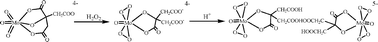 Graphical abstract: Peroxomolybdate(vi)–citrate and –malate complex interconversions by pH-dependence. Synthetic, structural and spectroscopic studies