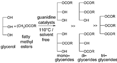 Graphical abstract: “One pot” and selective synthesis of monoglycerides over homogeneous and heterogeneous guanidine catalysts