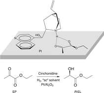 Graphical abstract: Identification of catalyst surface species during asymmetric platinum-catalysed hydrogenation in a “supercritical” solvent