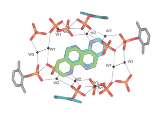 Graphical abstract: Solid-state caging of 1,10-phenanthroline π–π stacked dimers by calix[4]arene dihydroxyphosphonic acid