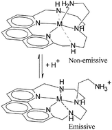 Graphical abstract: Protonation and coordination properties towards Zn(ii), Cd(ii) and Hg(ii) of a phenanthroline-containing macrocycle with an ethylamino pendant arm