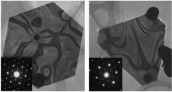 Graphical abstract: Synthesis of gold nanoplates by aspartate reduction of gold chloride