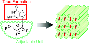 Graphical abstract: Use of an adjustable soft segment as an effective molecular design for crystal engineering of hydrogen-bonded tape motifs