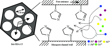 Graphical abstract: Ordered mesoporous silica (SBA-15) derivatized with imidazole-containing functionalities as a selective adsorbent of precious metal ions