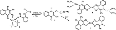 Graphical abstract: Facile copper-mediated activation of the N–H bond and the oxidative cleavage of the C2–C3 bond in 1H-2-phenyl-3-hydroxy-4-oxoquinoline
