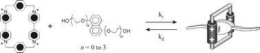 Graphical abstract: Threading/dethreading processes in pseudorotaxanes. A thermodynamic and kinetic study