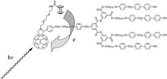 Graphical abstract: Liquid-crystalline fullerene–ferrocene dyads