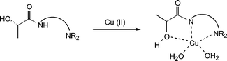 Graphical abstract: Copper(ii) complexes with lactamides: solution and solid state studies