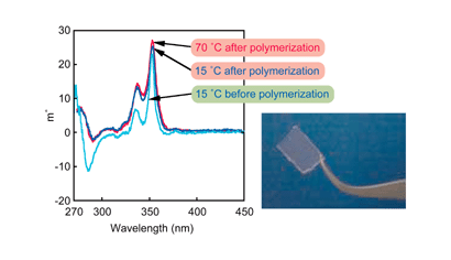 Graphical abstract: Stabilization of enhanced chirality from pyrene-containing l-glutamide lipid in methyl methacrylate by photo-induced polymerization