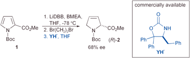 Graphical abstract: Enantiopure oxazolidinones as chiral acids in the asymmetric protonation of N-Boc pyrrole derived enolates