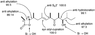 Graphical abstract: Stereocontrol in organic synthesis using silicon-containing compounds. Studies directed towards the synthesis of ebelactone A