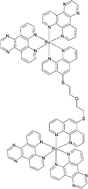 Graphical abstract: Symmetrical dinuclear complexes with high DNA affinity based on [Ru(dpq)2(phen)]2+