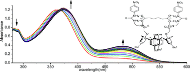 Graphical abstract: Calix[4]arenes containing thiourea and amide moieties: neutral receptors towards α,ω-dicarboxylate anions